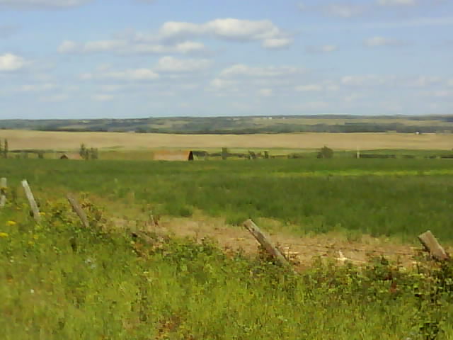 Alberta 015 Agricultural Landscape.jpg